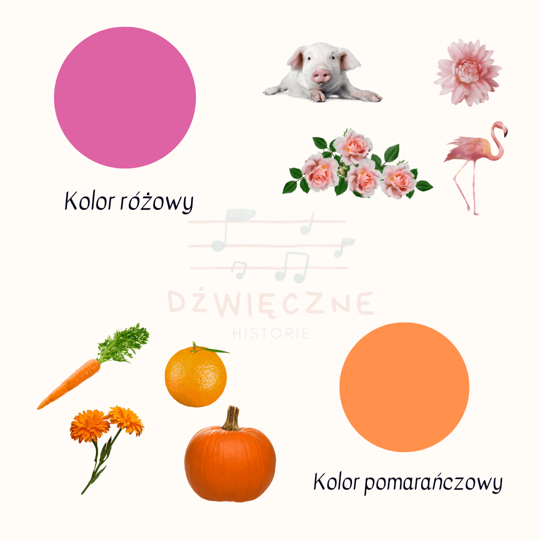 (E-book) Karty edukacyjne - kolory