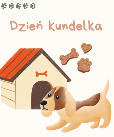 (E-book) Dzień Kundelka