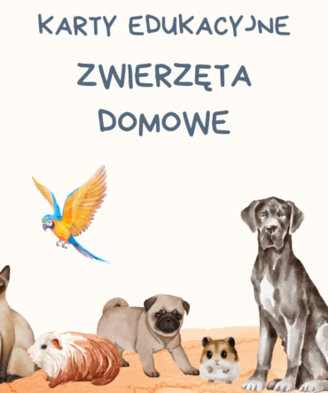 (E-book) Karty edukacyjne - zwierzęta domowe