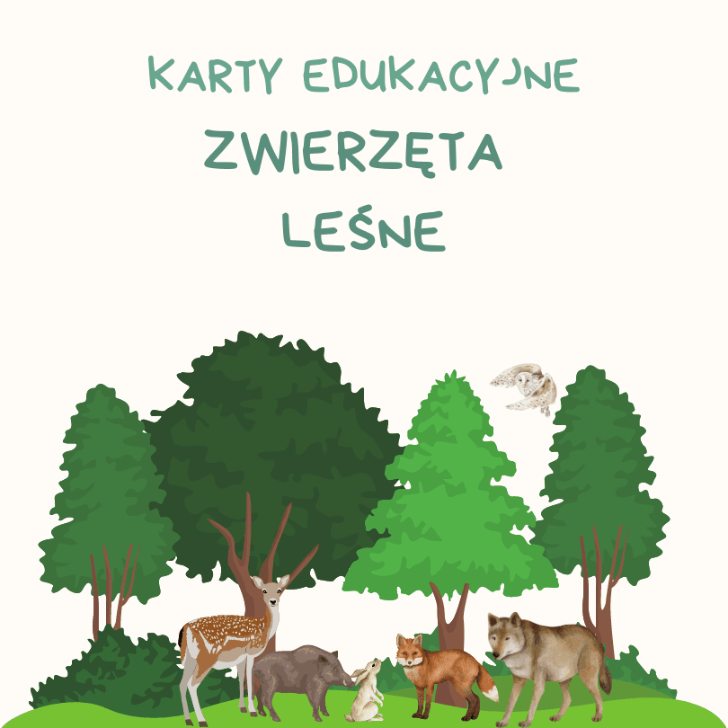 (E-book) Karty edukacyjne - zwierzęta leśne